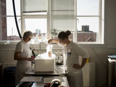 Sicher und diskret den passenden samenspender finden