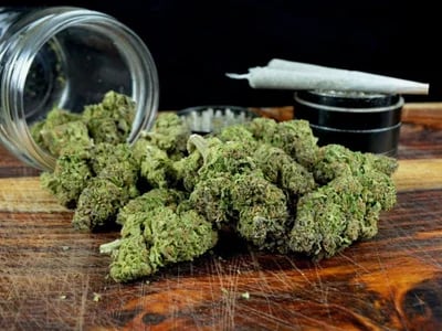 Warum Cannapot einer der ältesten Shops für Marihuanasamen ist