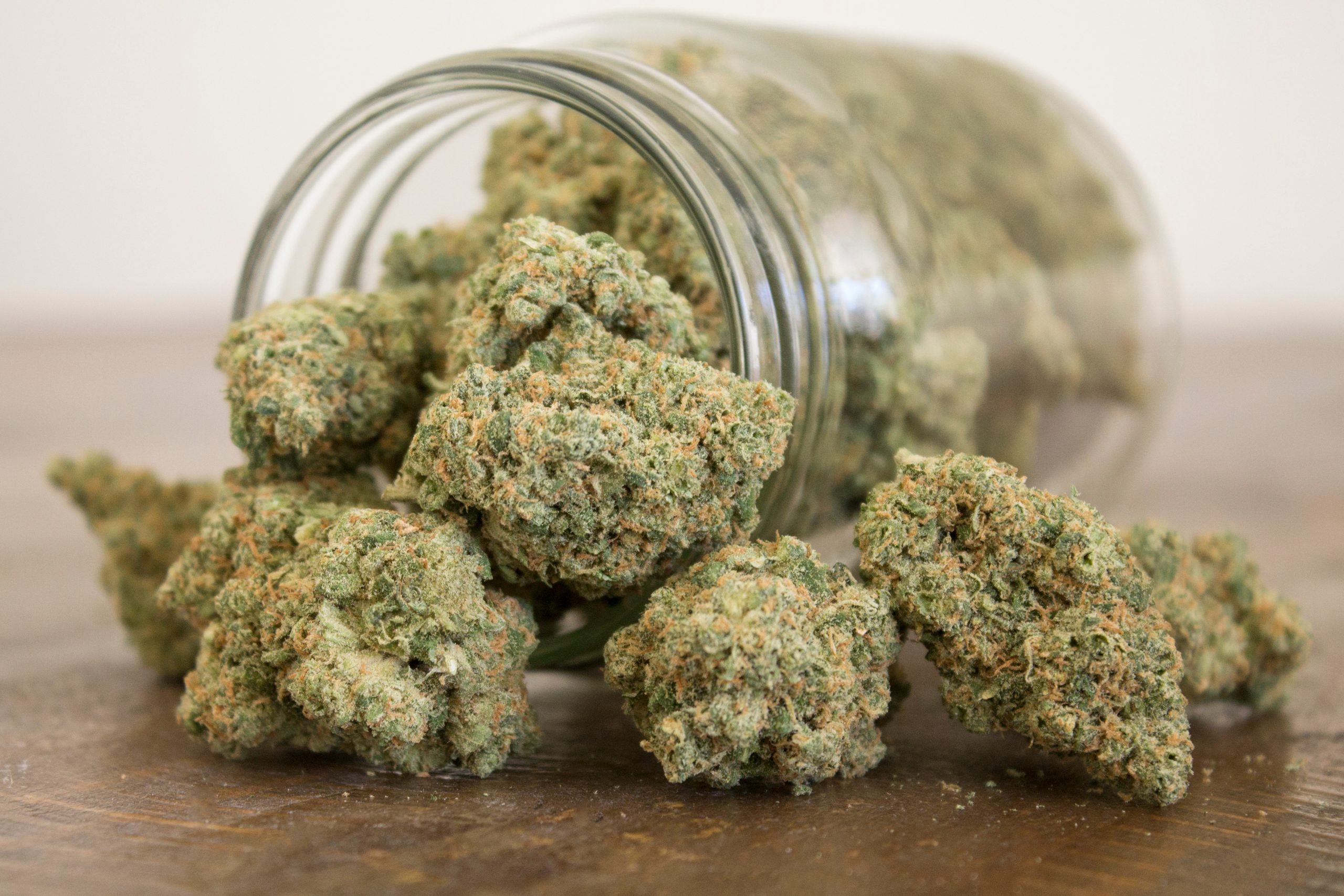 Schnell wachsende Sorten entdecken – Cannabissamen kaufen legal in Deutschland