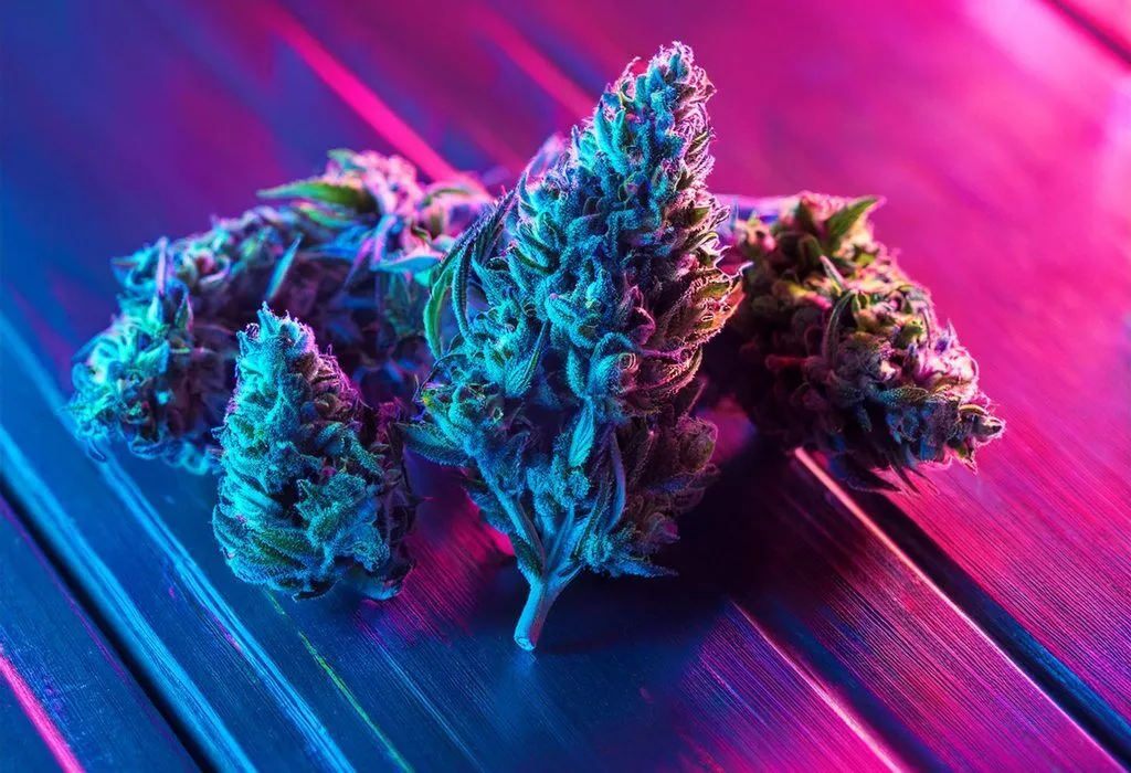 Optimieren Sie Ihr Wissen: Wie Unser THC Abbau Rechner Ihnen Eine Ungefähre Zeit Zum THC-Abbau Im Körper Zeigt