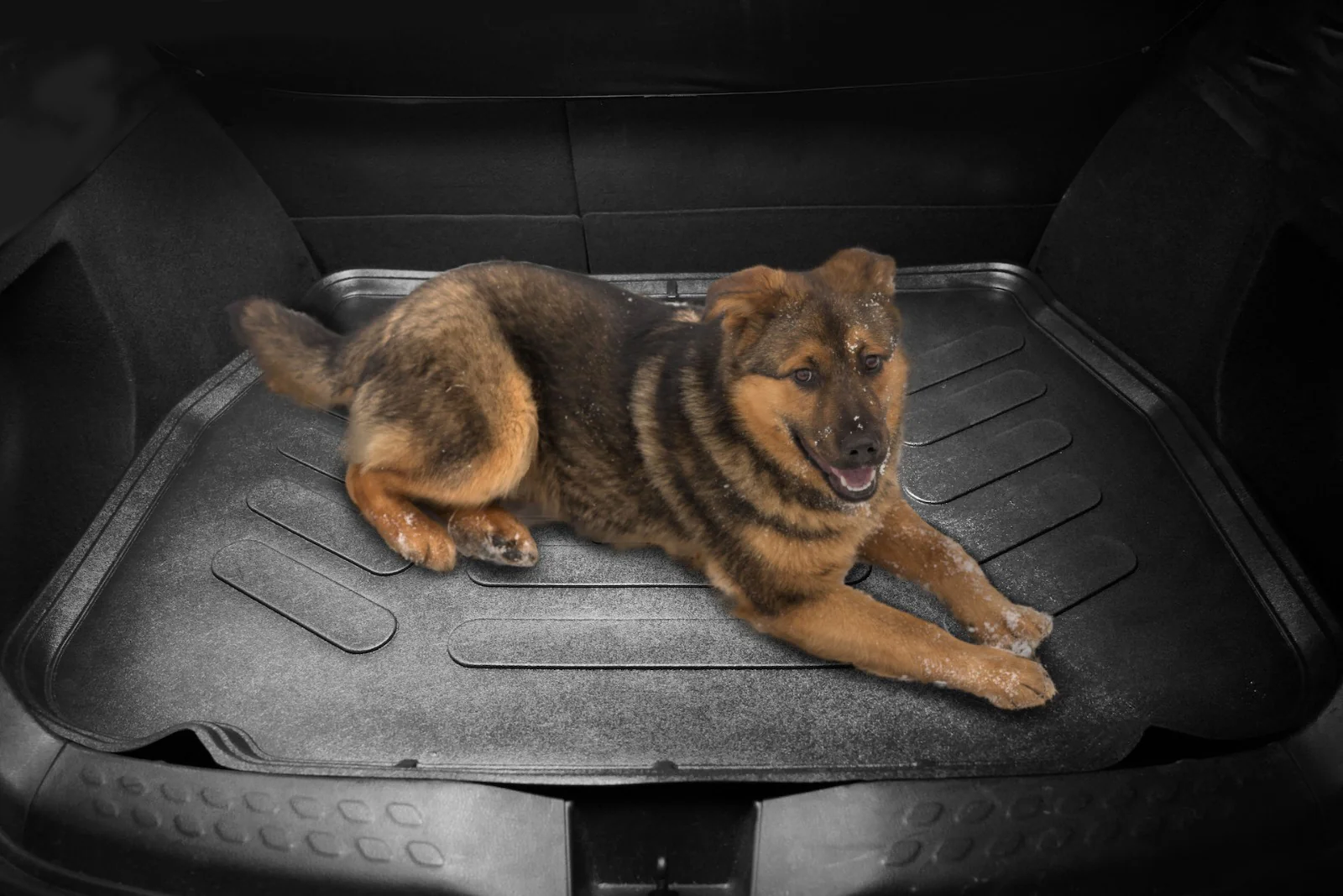 Robuste 3D Gummimatten Auto für eine gesunde und sichere Fahrt
