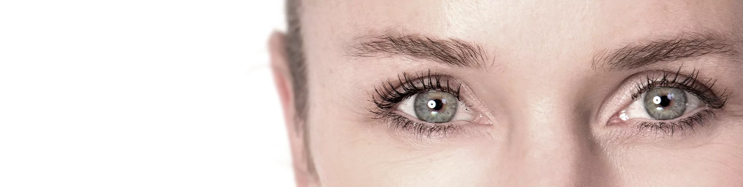 Professionelle Wimperverlängerung Wimpern mit den Produkten von LashLink