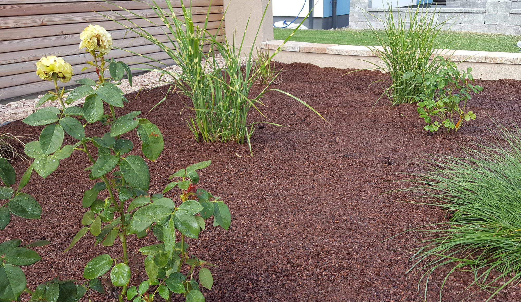 Steigern Sie das Wachstum Ihres Gartens mit dem Kauf hochwertiger Gartenfaser kaufen