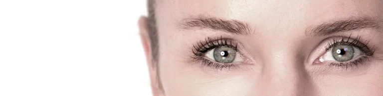 augenlieder_header