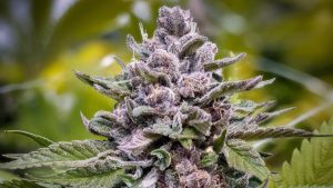 01h70q6txp74efy07x89