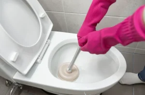 A-homeowner-is-unblocking-a-right-toilet-using-right-tool