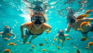 Tauchen in Mexiko: Gruppe von Tauchern erkundet das farbenfrohe Korallenriff.